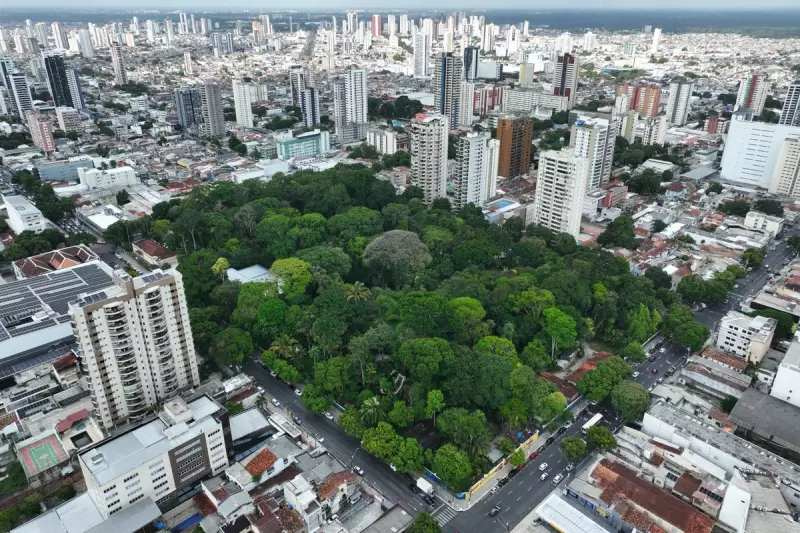 Gangs now operate in 45% of Brazilian Amazon towns, report reveals