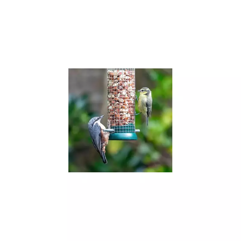 Garden Bird Feeding Warning: Act Within 24 Hours to Stop Hidden Hazard