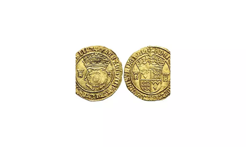 Gardening Couple Unearth Rare Tudor Gold Coin Hoard Worth Fortune in English Soil