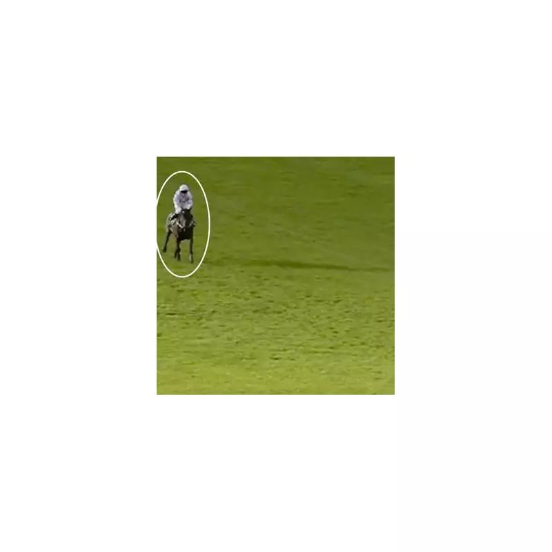 Golden Ace's Unbeaten Streak Shattered in Dramatic Wetherby Defeat