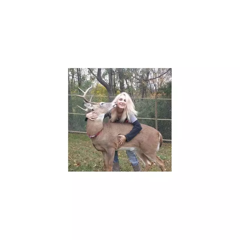 Grandmother Killed by Rescued Deer She Rehabilitated for 12 Years