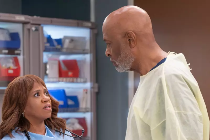 Grey's Anatomy Fall Finale Shocks Fans with Two Devastating Diagnoses