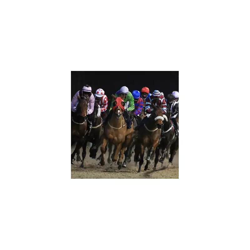 Gustav Graves and El Muchacho Tipped for Monday Racing Success