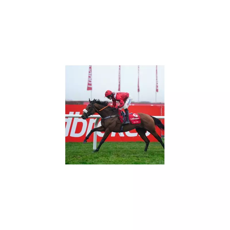 Half-Price Tickets for Kempton Park's Ladbrokes Christmas Festival