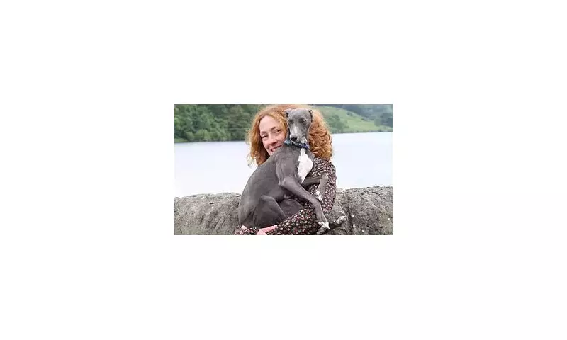 Heartbroken Owner's Warning: How Fireworks Killed Their Beloved Dog - Essential Safety Guide for Pet Owners