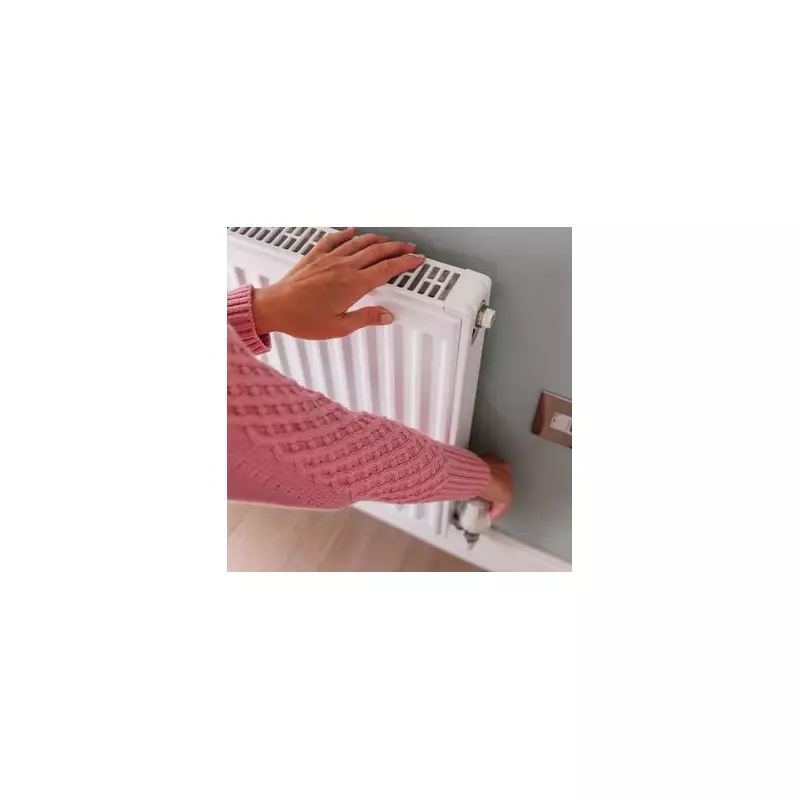 Heat Your Body, Not Your Home: The 1p/Hour Heated Blanket Test