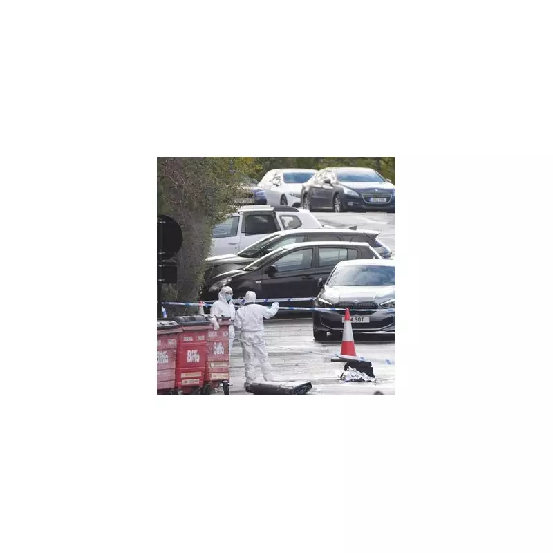 Hero Dad's Split-Second Decision Saves Toddler From Oncoming Train in Heart-Stopping Near-Miss