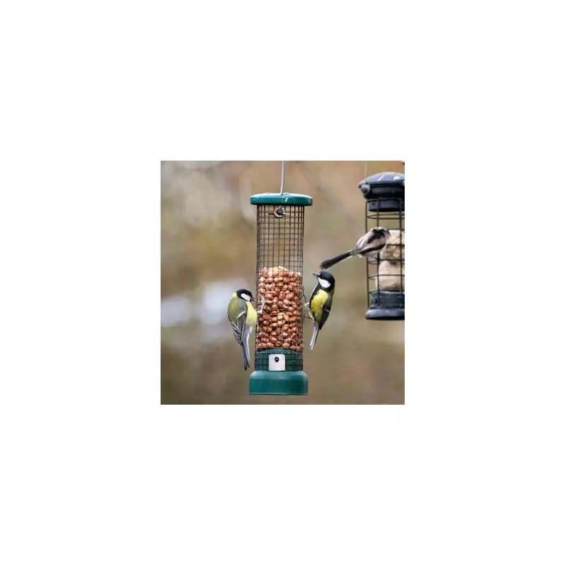 Hidden Danger in Bird Feeders: Expert Warns Brits as Cold Snap Hits