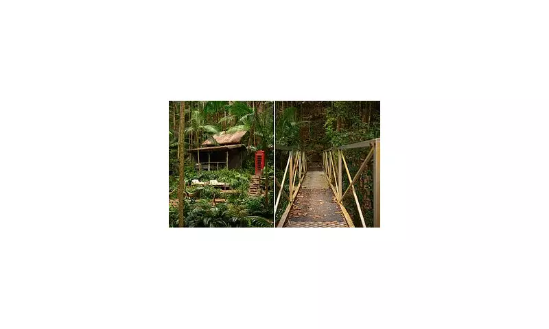 I'm A Celebrity 2024: Toughest Series Yet with Snake Infestation