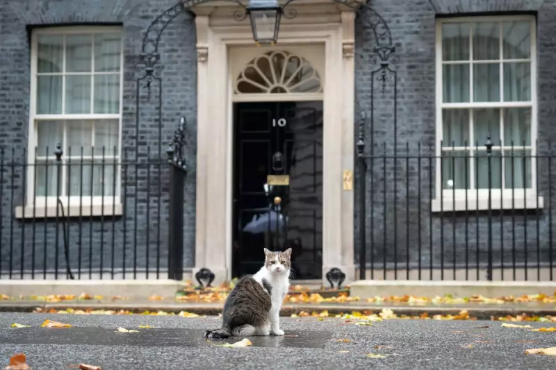 Inside No 10: Crumbling Downing Street 'Not Fit for Purpose'