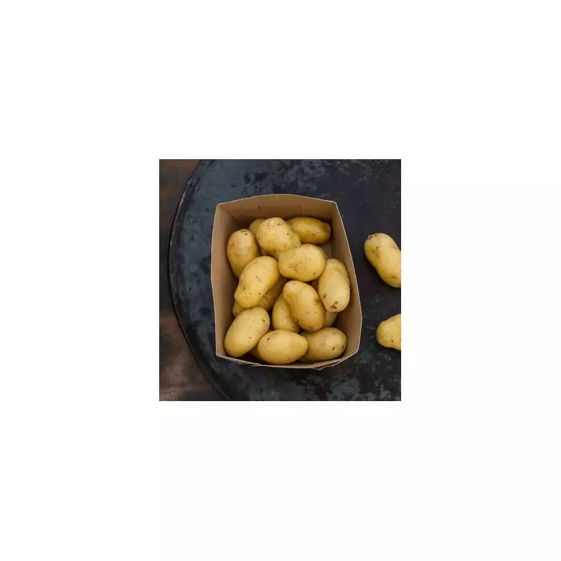 Keep Potatoes Fresh for 3 Months: My Genius Food Storage Hack
