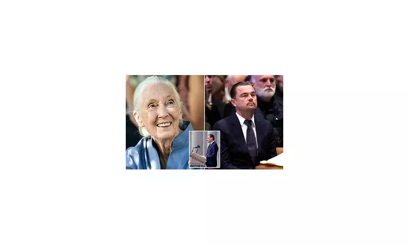 Leonardo DiCaprio's Heartfelt Tribute to Jane Goodall at Funeral