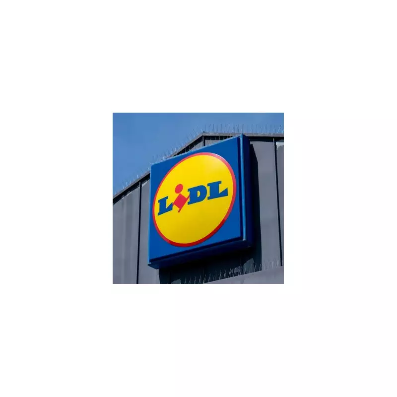 Lidl Ditches Plastic: Major Packaging Overhaul Hits All UK Stores
