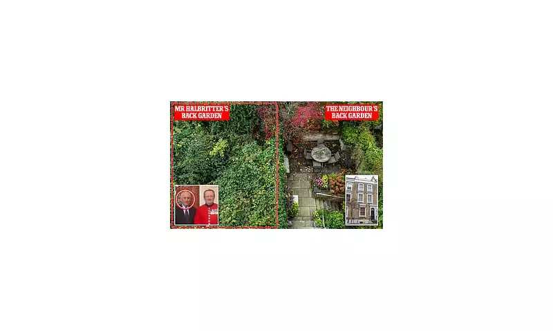 London's £4M Horror House: Japanese Knotweed & Rotting Corpse Scandal