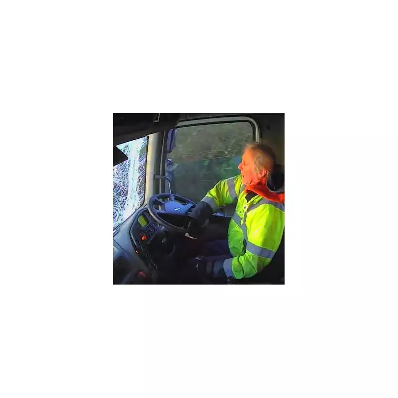 Lorry Driver's Misted Windscreen Causes Five-Car Pile-Up in Flintshire