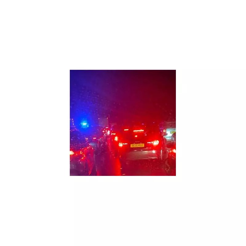 M5 Chaos: Crash Sparks Huge Delays as Drivers Exit Vehicles