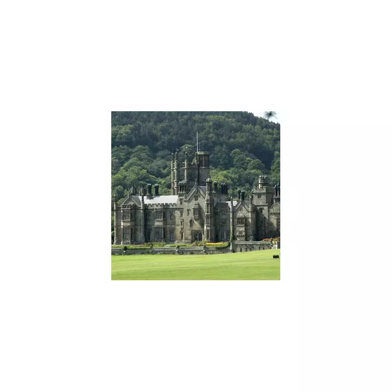 Magical Winter Wonderland at Margam Park with Fairy Village & Elf Workshop