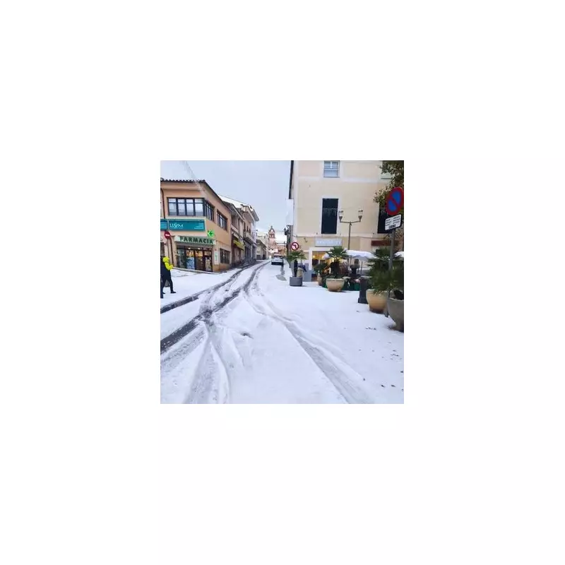 Majorca Hit by 40ft Waves and Snow in Freak Winter Storm