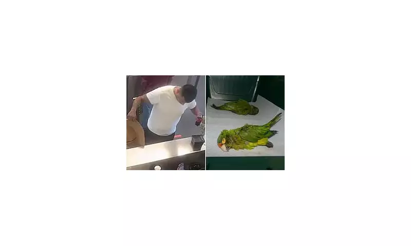 Man Faces 20 Years for Smuggling Rare Parakeets in His Trousers