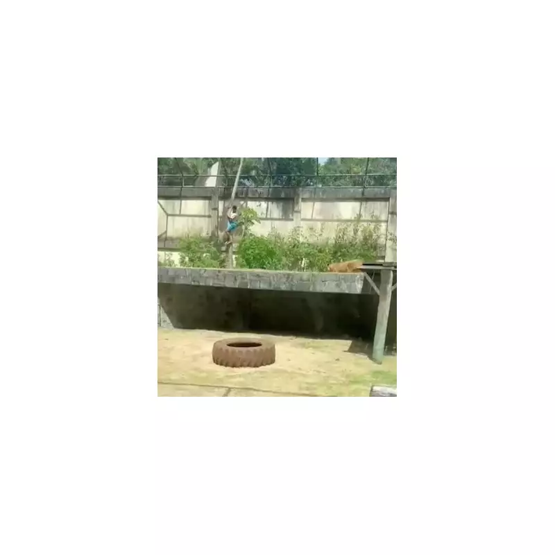 Man killed by lioness after scaling 20ft wall into Brazilian zoo enclosure