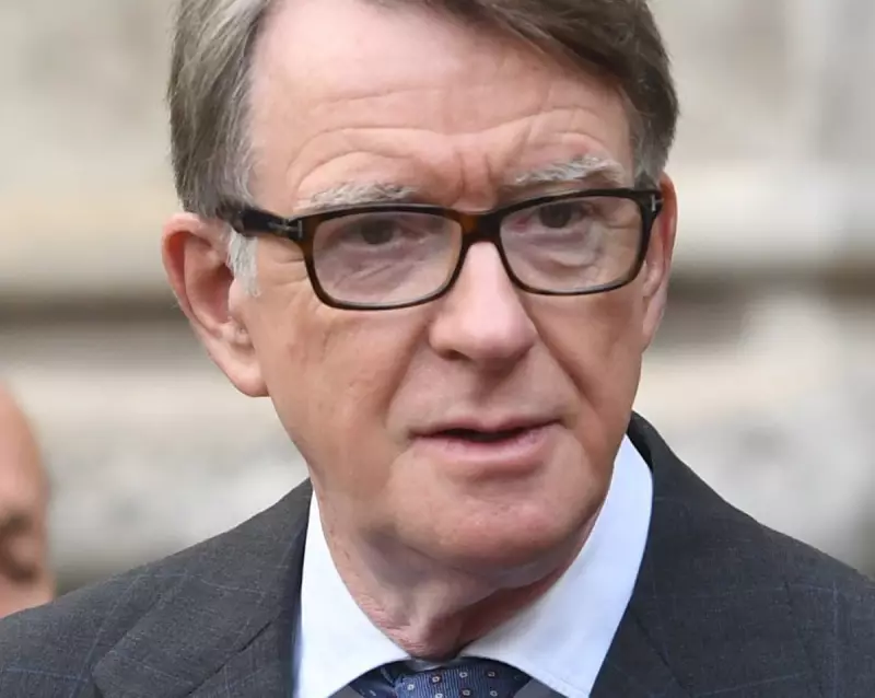 Mandelson's Firm Secured $3m WuXi AppTec Lobbying Deal Amid US Scrutiny