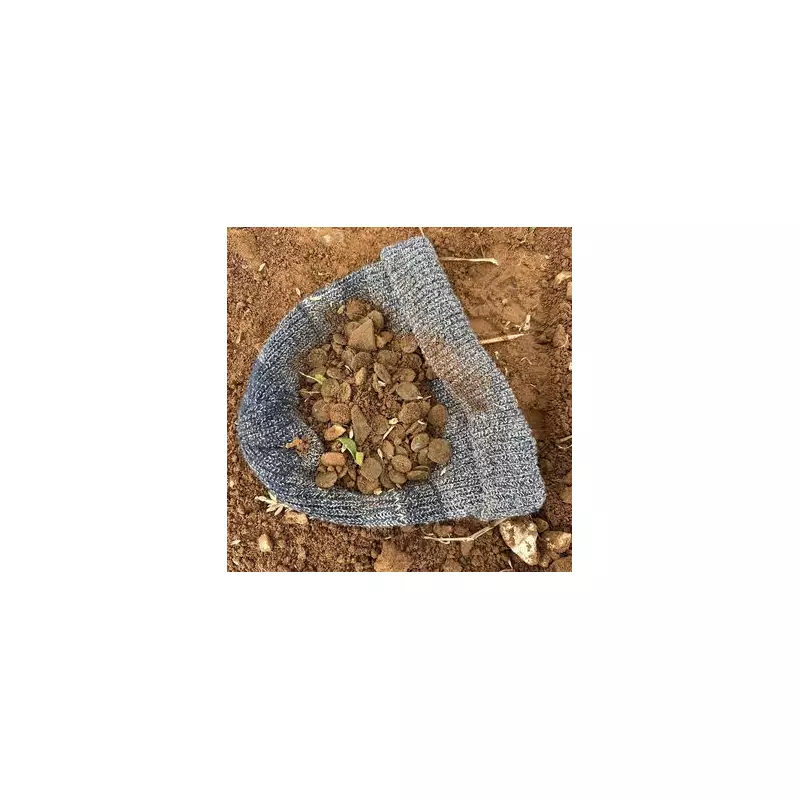 Metal detectorists find 1,800-year-old Roman coin hoard in Kent field