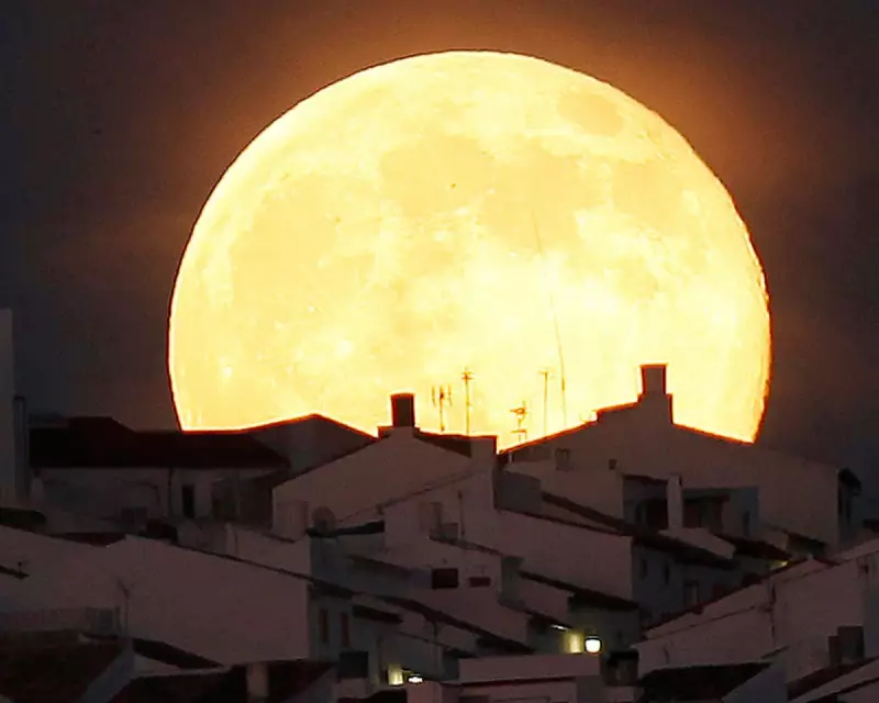 Miles Burrows' New Poem Confronts Society's Cruelty to the Elderly