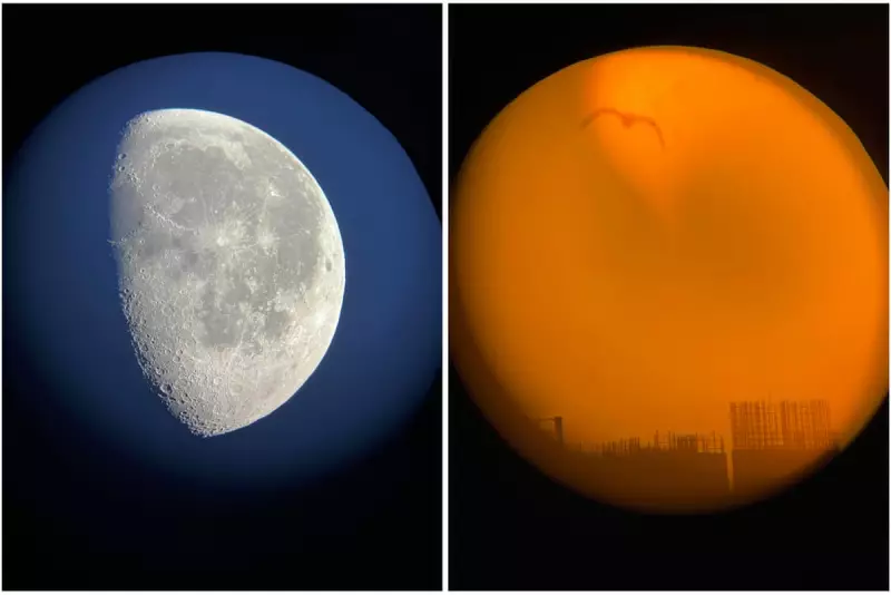 Mimi Mollica's Moon City: Limited Edition Prints Available Until 8 Dec