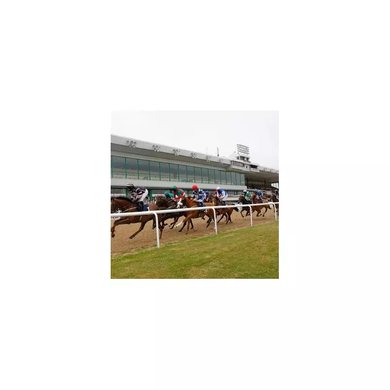 Monday's Racing Gold: Four Can't-Miss Tips for Your Betting Slip