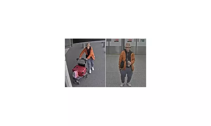 Mother's Gatwick Airport Ordeal: Drunk Thief Steals Luggage During Breastfeeding