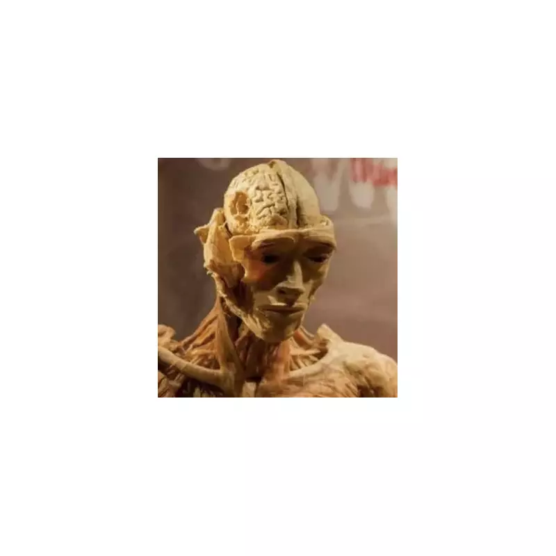 Mother's Horrific Claim: Son's Body Displayed as Museum Statue After Cyanide Death