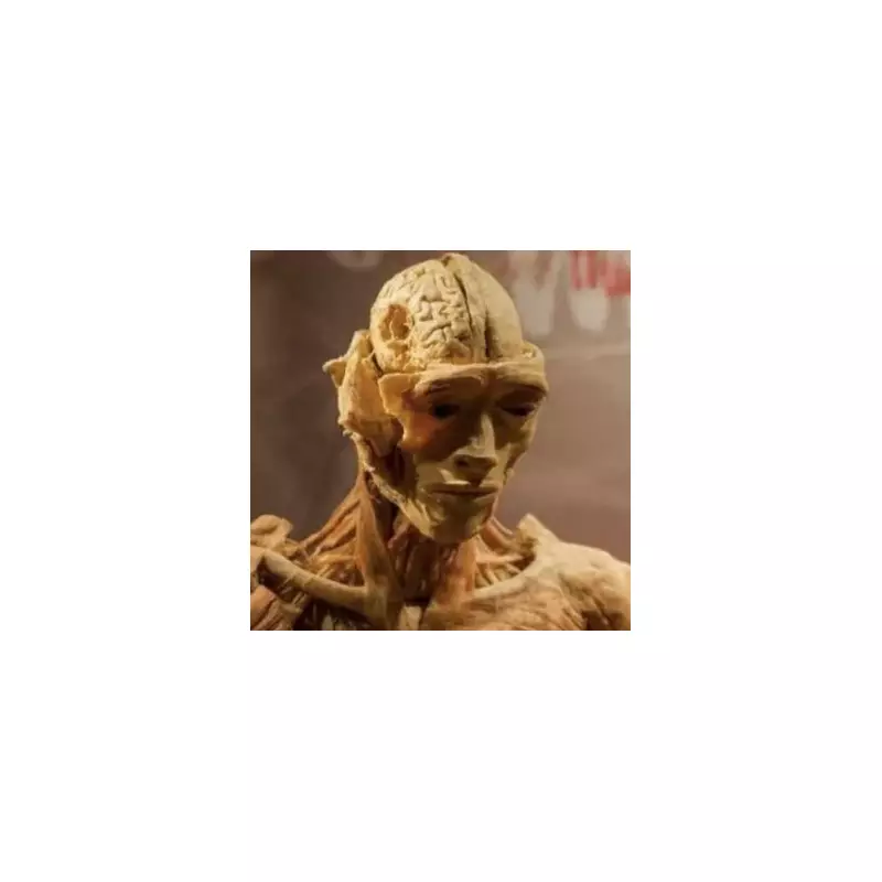 Mother's Trauma: 'I Found My Son's Body in a Museum Exhibition'