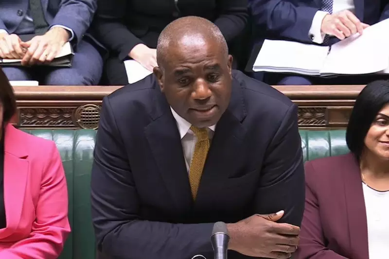 MP David Lammy's Fiery Commons Speech Slams Government Over Algerian Deportation Case