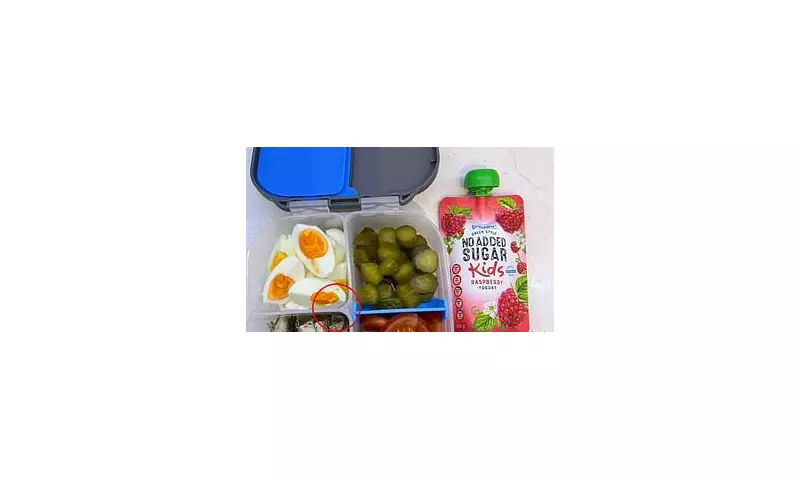 Mum's Unconventional Lunchbox Creation Sparks Heated Parenting Debate - Would You Send This To School?