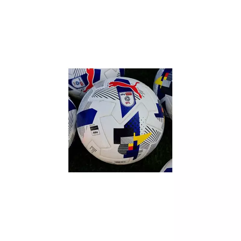 Mystery Sheffield Wednesday fan provides £1m lifeline to crisis club