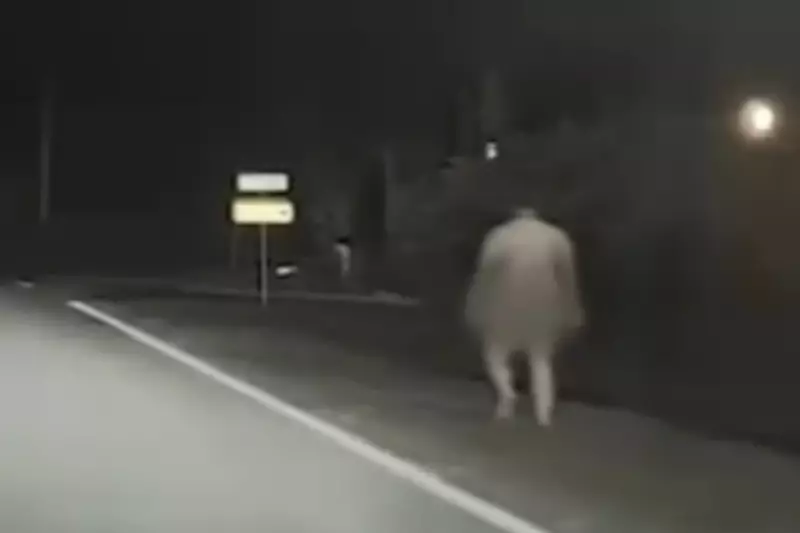 Naked TikTok Challenge Lands Florida Man in Jail During Freezing 36°F Weather