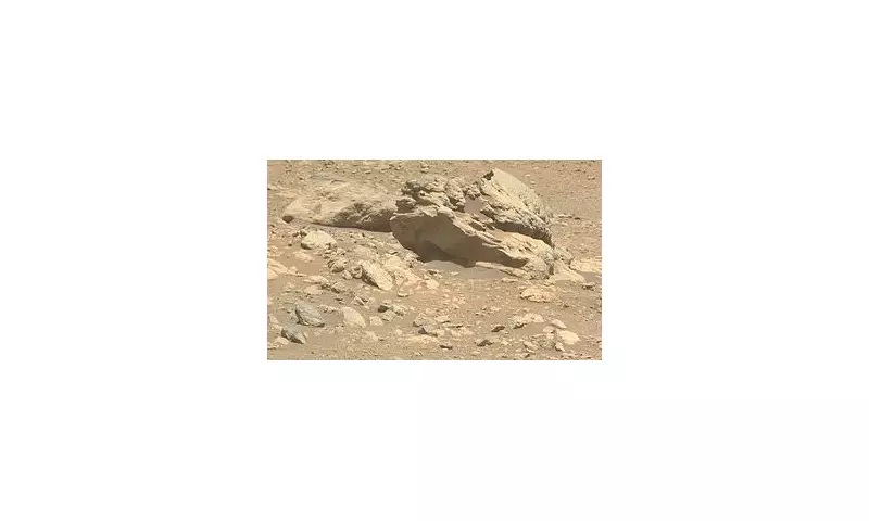 NASA's Perseverance Finds Mysterious Iron-Nickel Rock on Mars