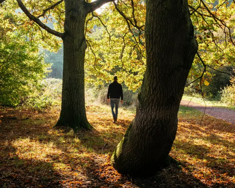 Nature Disconnected: Britain Ranks Among World's Least Nature-Connected Nations, Study Reveals