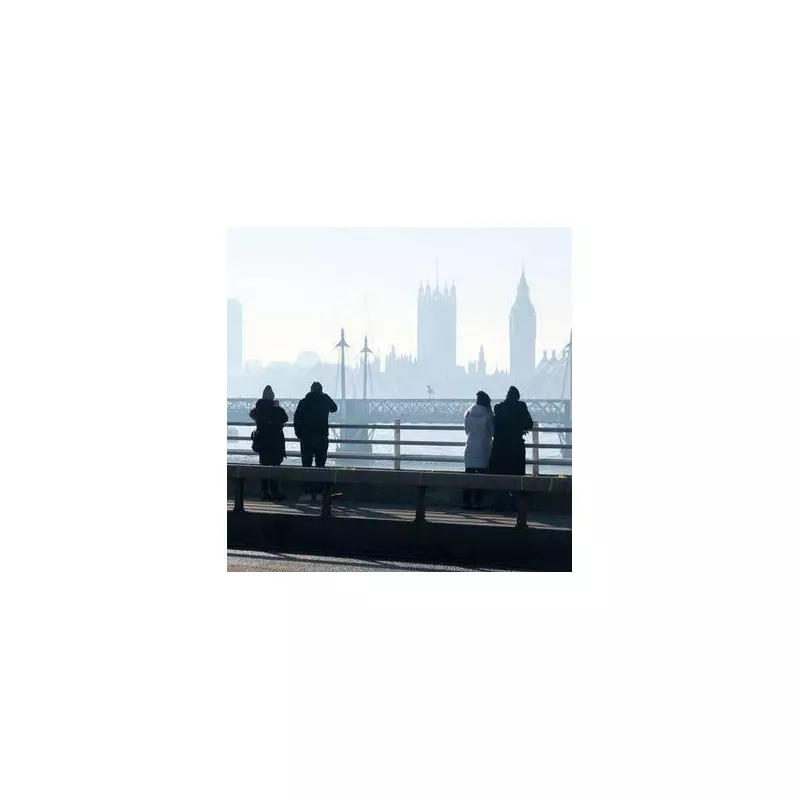 Nature's Winter Warnings: Fat Squirrels & Spider Invasions Explained