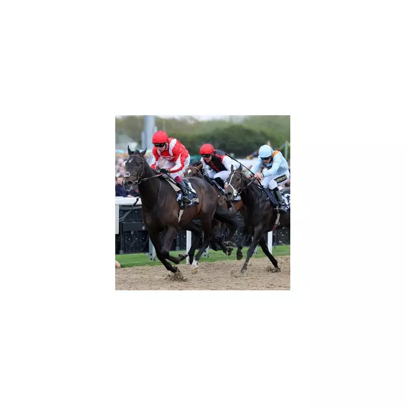 Newsboy's Monday Racing Tips: Dandy Dinmont Tipped for Newcastle Nap