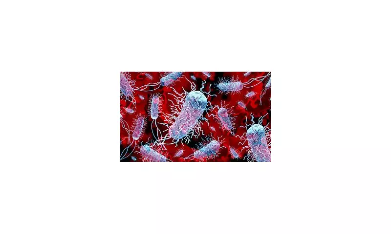 NHS Faces Winter Superbug Crisis as Antibiotic Resistance Soars