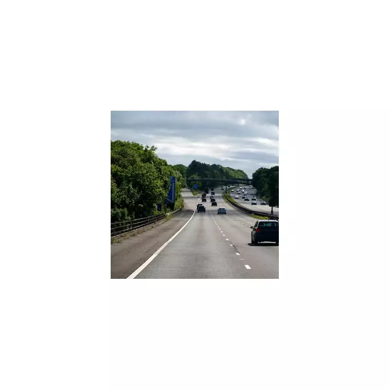 November 5th Licence Plate Deadline: Don't Miss Your Chance to Save Thousands on New Cars