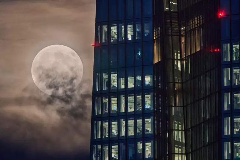 November's Supermoon Spectacle: Witness the Biggest and Brightest Moon of 2024