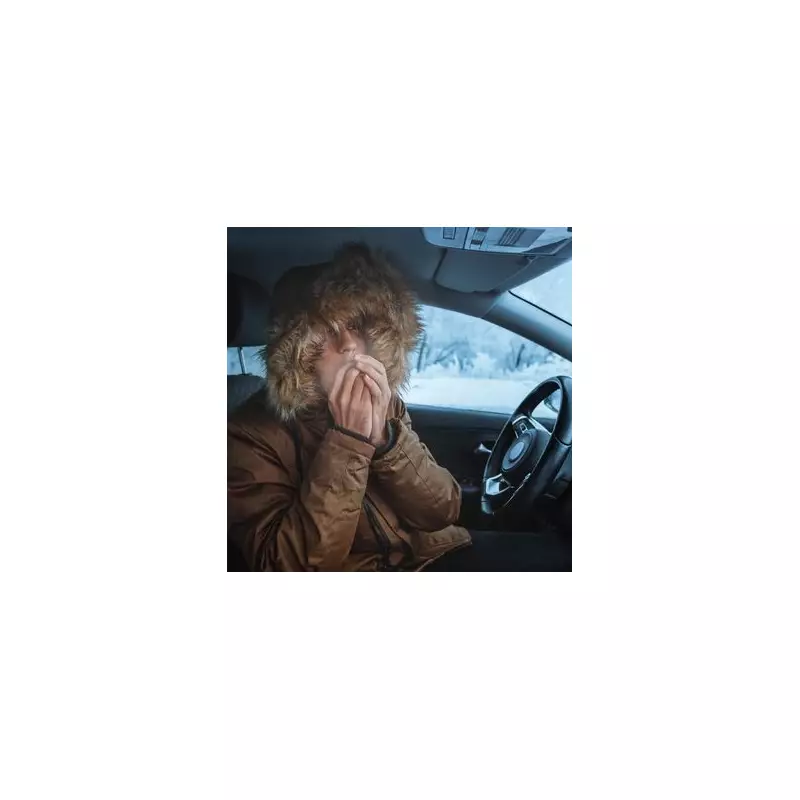 One Car Button Heats Your Vehicle Faster This Winter