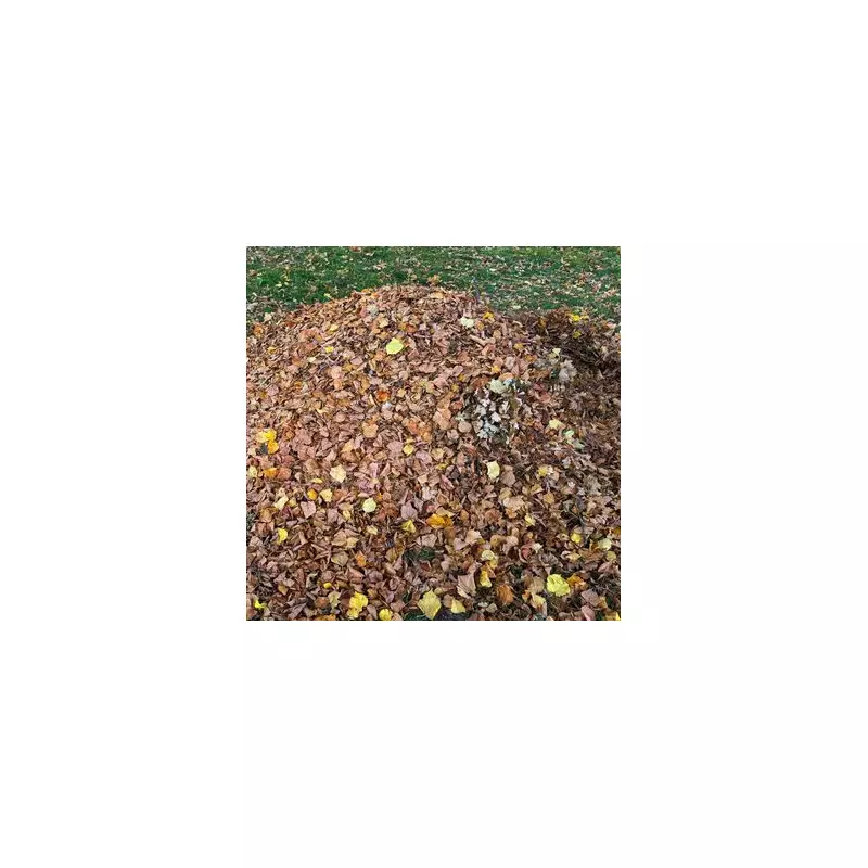 Only Hawk-Eyed Observers Can Spot Hidden Frog in 10 Seconds