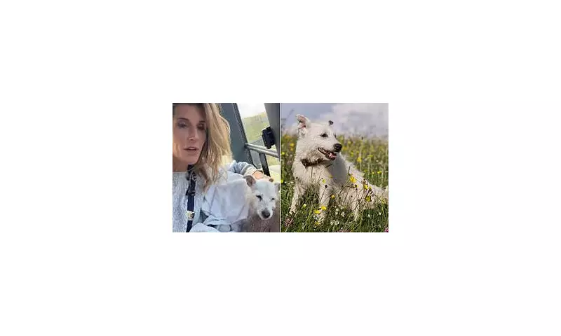 Our Dales' Shepherdess Amanda Owen Heartbroken as Beloved Canine Companion Dies