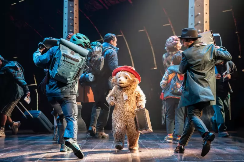 Paddington Bear Takes West End By Storm: New Musical Adaptation Announced