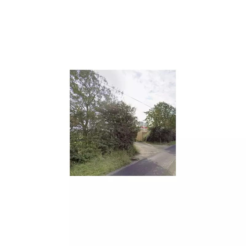 Pagham Gas Substation Crash: Homes Evacuated After Car Collision