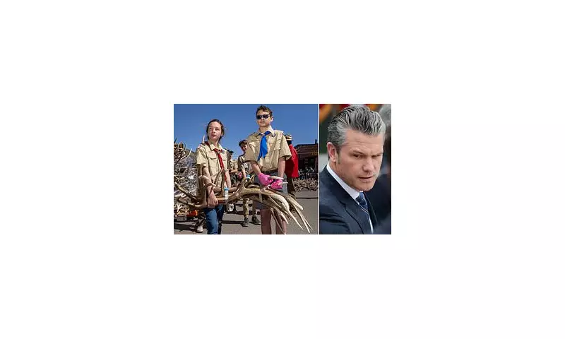 Pentagon to Sever Century-Old Boy Scouts Ties Over Name Change and DEI