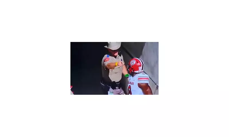 Police Officer Bumps South Carolina's Nyck Harbor After Touchdown